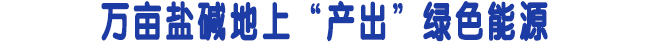 万亩盐碱地上“产出”绿色能源